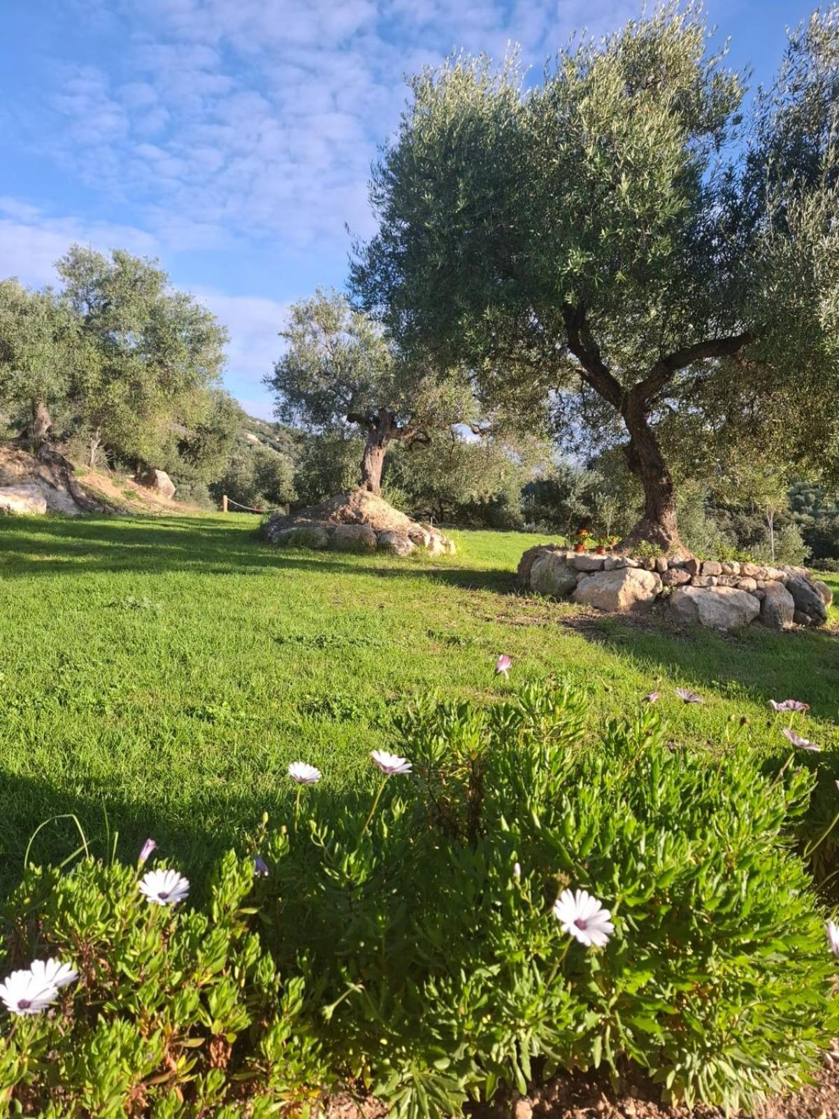 Hacienda Molino Nuevo Villa Algodonales Buitenkant foto